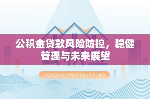 汝南公积金贷款风险防控，稳健管理与未来展望