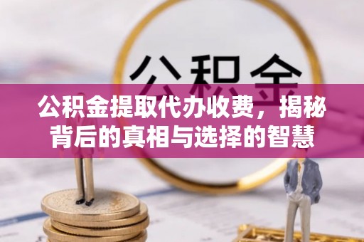 汝南公积金提取代办收费，揭秘背后的真相与选择的智慧