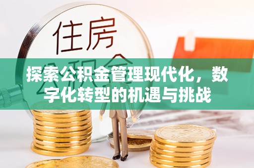 汝南探索公积金管理现代化，数字化转型的机遇与挑战
