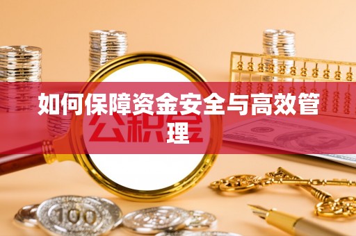 汝南如何保障资金安全与高效管理