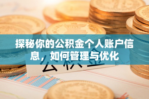 汝南探秘你的公积金个人账户信息，如何管理与优化