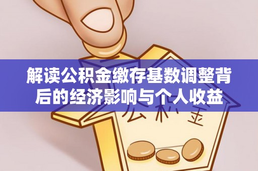 汝南解读公积金缴存基数调整背后的经济影响与个人收益
