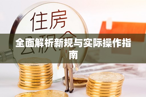 汝南全面解析新规与实际操作指南