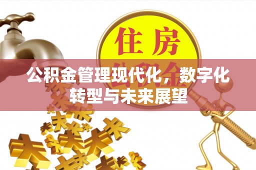 汝南公积金管理现代化，数字化转型与未来展望