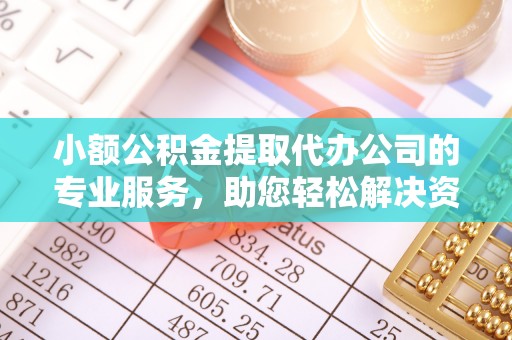 汝南小额公积金提取代办公司的专业服务，助您轻松解决资金难题