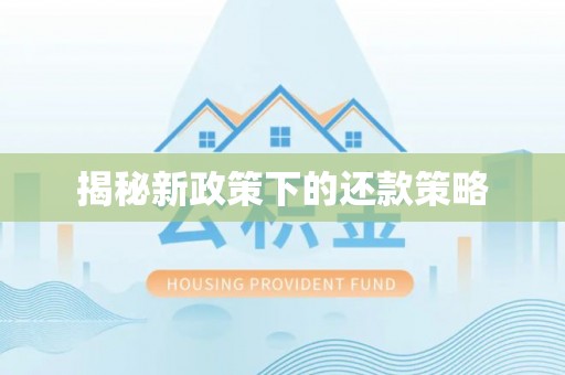 汝南揭秘新政策下的还款策略