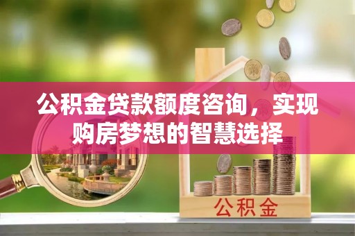 汝南公积金贷款额度咨询，实现购房梦想的智慧选择