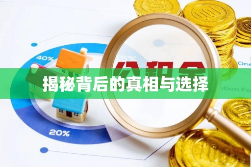 汝南揭秘背后的真相与选择