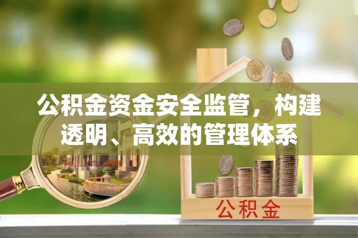汝南公积金资金安全监管，构建透明、高效的管理体系