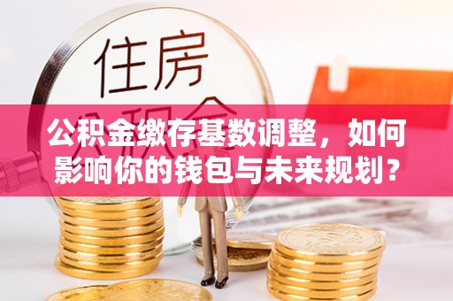 汝南公积金缴存基数调整，如何影响你的钱包与未来规划？