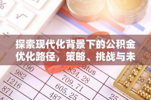 汝南探索现代化背景下的公积金优化路径，策略、挑战与未来展望