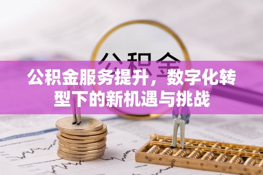 汝南公积金服务提升，数字化转型下的新机遇与挑战