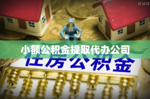 汝南小额公积金提取代办公司