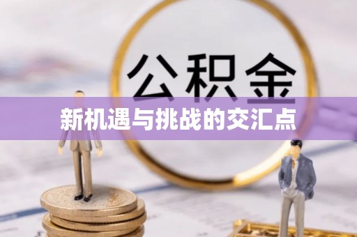 汝南新机遇与挑战的交汇点