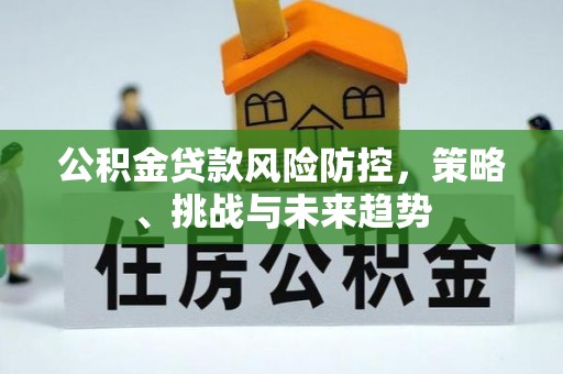 汝南公积金贷款风险防控，策略、挑战与未来趋势