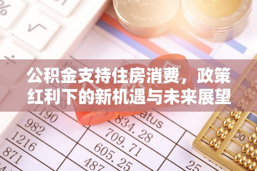 汝南公积金支持住房消费，政策红利下的新机遇与未来展望