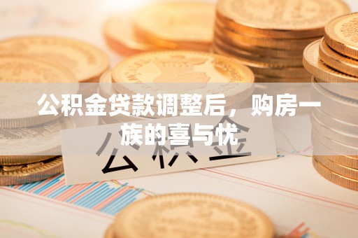 汝南公积金贷款调整后，购房一族的喜与忧