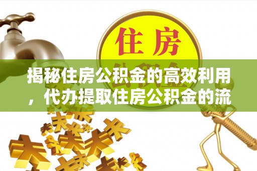 汝南揭秘住房公积金的高效利用，代办提取住房公积金的流程与技巧