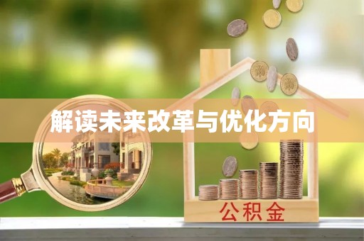 汝南解读未来改革与优化方向