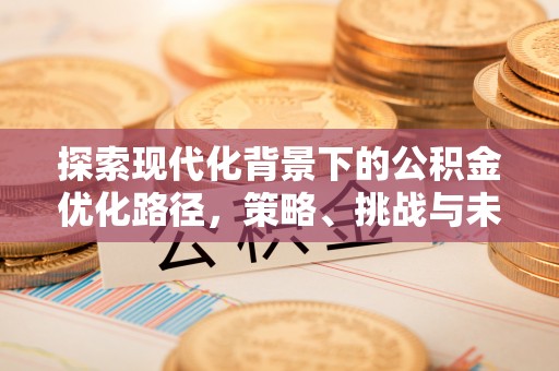 汝南探索现代化背景下的公积金优化路径，策略、挑战与未来展望