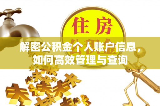 汝南解密公积金个人账户信息，如何高效管理与查询