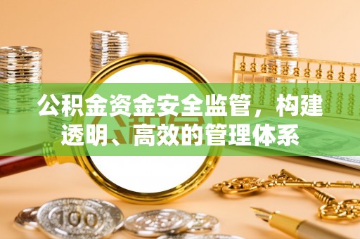 汝南公积金资金安全监管，构建透明、高效的管理体系