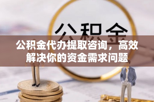 汝南公积金代办提取咨询，高效解决你的资金需求问题