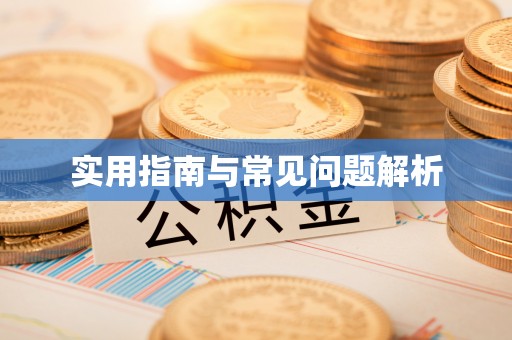 汝南实用指南与常见问题解析