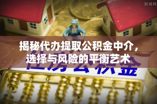 汝南揭秘代办提取公积金中介，选择与风险的平衡艺术