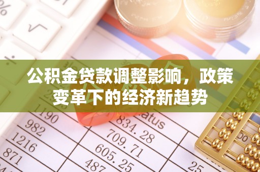 汝南公积金贷款调整影响，政策变革下的经济新趋势