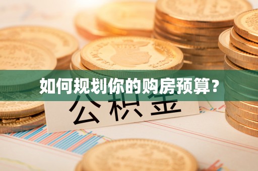 汝南如何规划你的购房预算？
