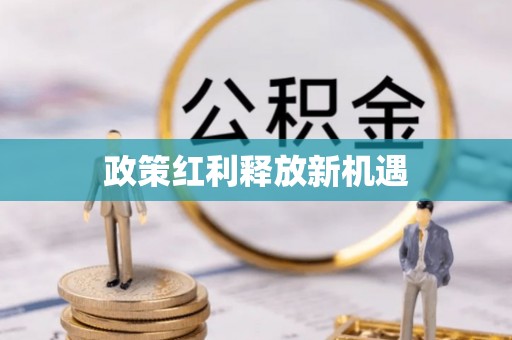 汝南政策红利释放新机遇