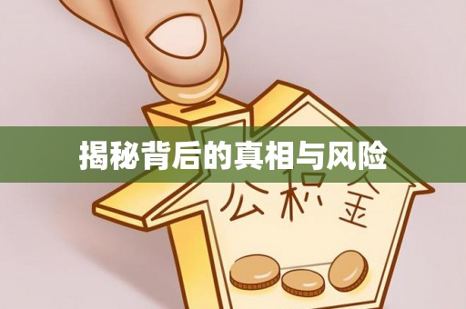 汝南揭秘背后的真相与风险
