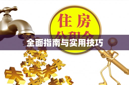 汝南全面指南与实用技巧