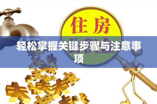 汝南轻松掌握关键步骤与注意事项