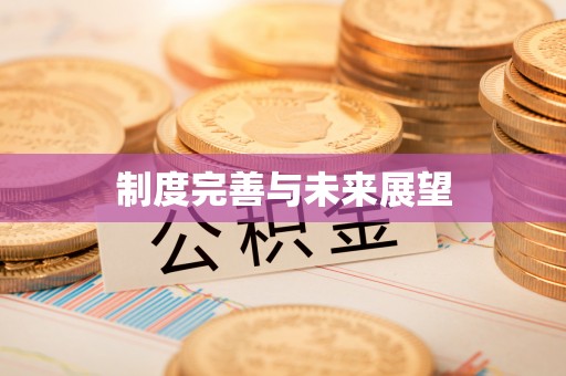 汝南制度完善与未来展望