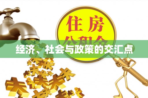 汝南经济、社会与政策的交汇点