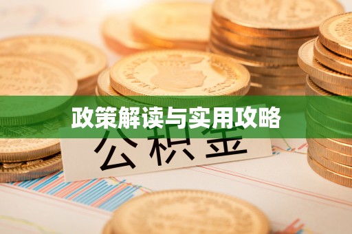 汝南政策解读与实用攻略