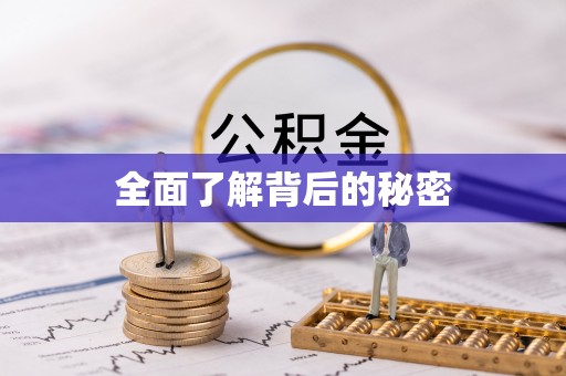 汝南全面了解背后的秘密