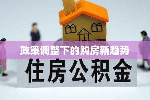 汝南政策调整下的购房新趋势
