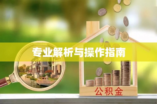 汝南专业解析与操作指南