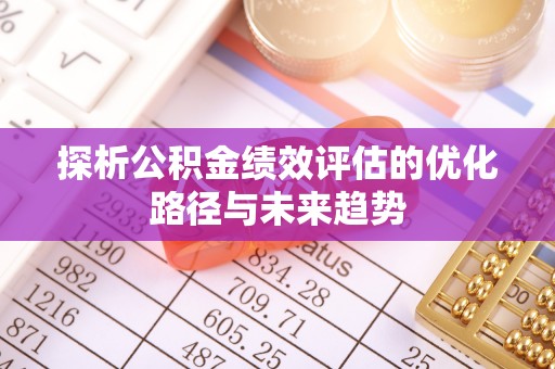 汝南探析公积金绩效评估的优化路径与未来趋势