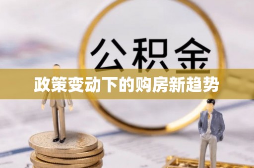 汝南政策变动下的购房新趋势