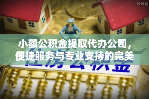 汝南小额公积金提取代办公司，便捷服务与专业支持的完美结合