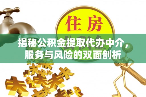 汝南揭秘公积金提取代办中介，服务与风险的双面剖析