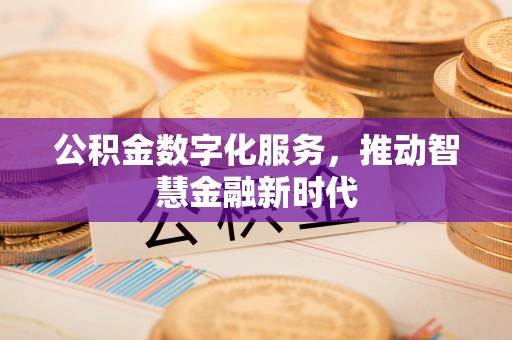 汝南公积金数字化服务，推动智慧金融新时代