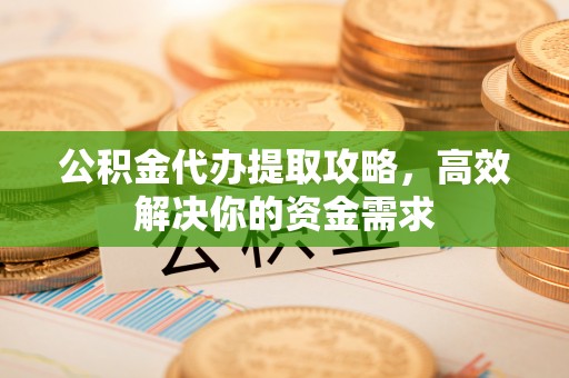 汝南公积金代办提取攻略，高效解决你的资金需求