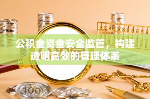 汝南公积金资金安全监管，构建透明高效的管理体系