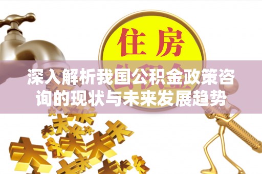 汝南深入解析我国公积金政策咨询的现状与未来发展趋势