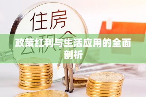 汝南政策红利与生活应用的全面剖析